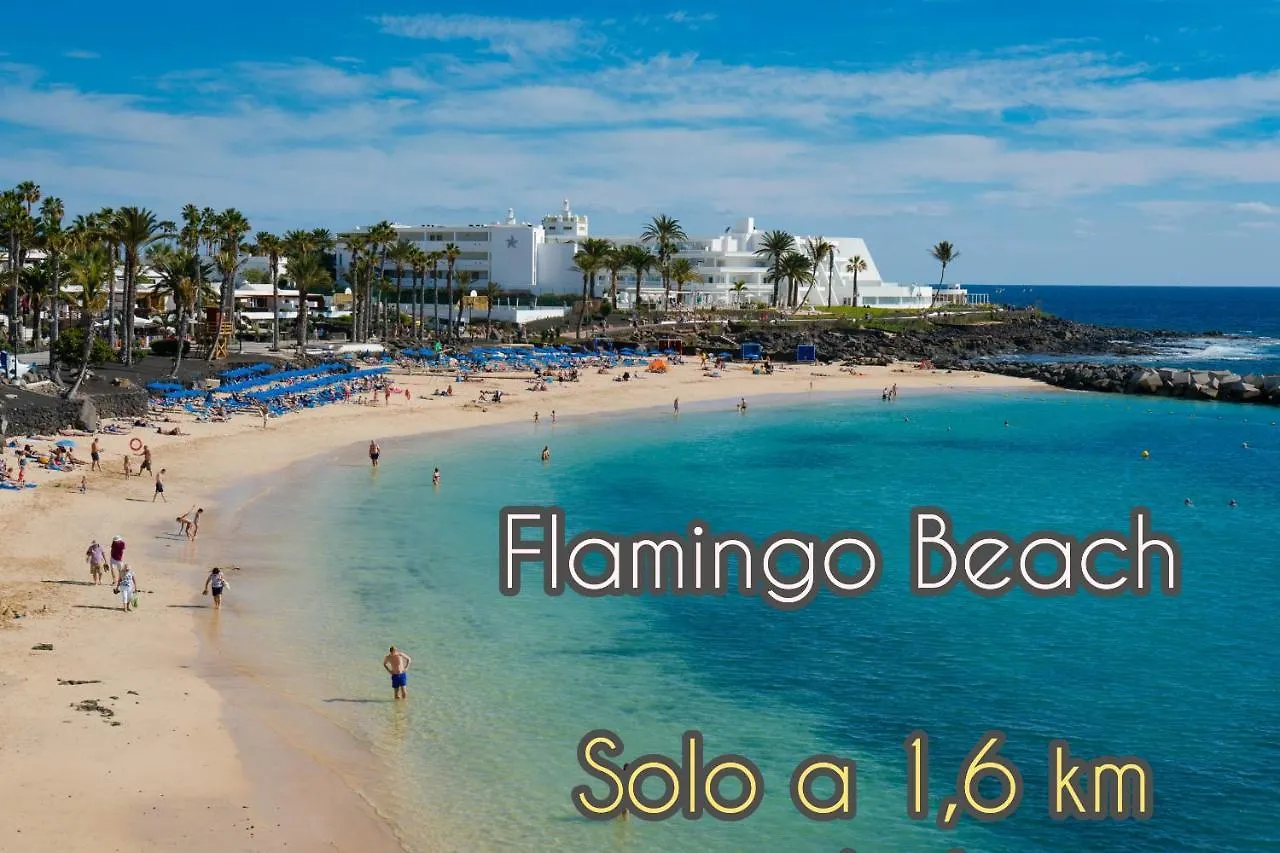 Apartment Love For Lanzarote Holidays House Playa Blanca